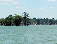Lake Columbia Island